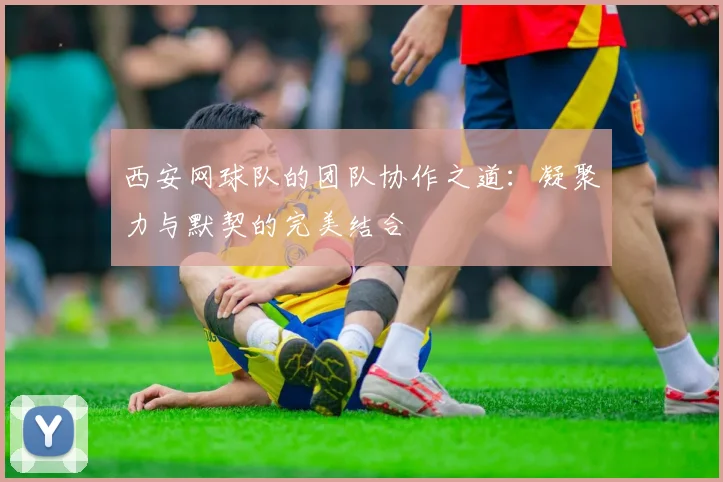 西安网球队的团队协作之道：凝聚力与默契的完美结合