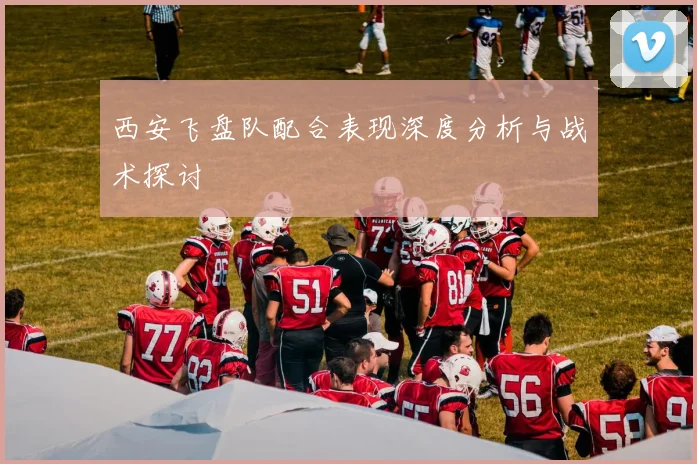 西安飞盘队配合表现深度分析与战术探讨