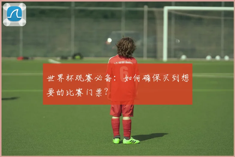 世界杯观赛必备：如何确保买到想要的比赛门票？